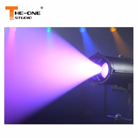 Luce da Palcoscenico LED 300W Ellissoidale RGBAL PAR con Effetto IP65